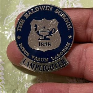 Silver and Blue Lapel Pin